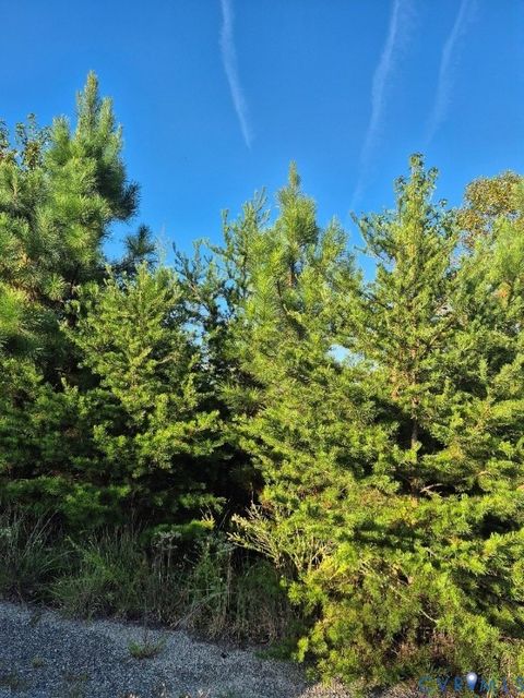 Tiny photo for 00 Fort Drive, Pamplin, VA 23958 (MLS # 2525837)