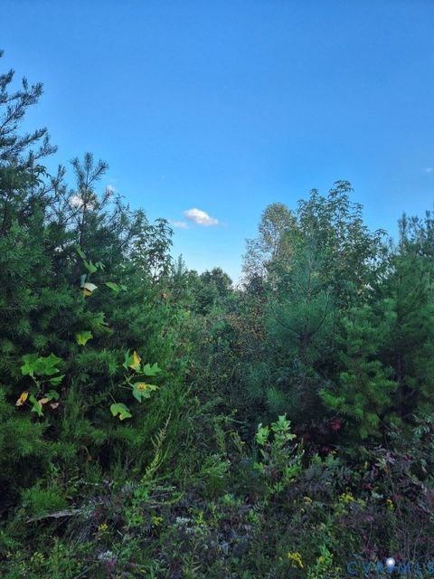 Tiny photo for 00 Fort Drive, Pamplin, VA 23958 (MLS # 2525837)