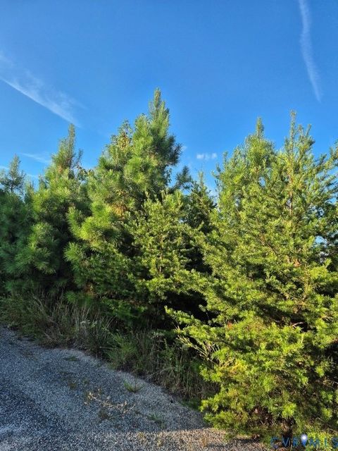 Tiny photo for 00 Fort Drive, Pamplin, VA 23958 (MLS # 2525837)