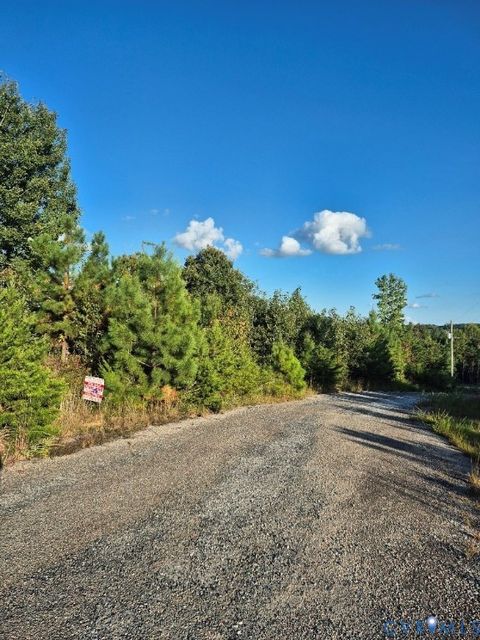Tiny photo for 00 Fort Drive, Pamplin, VA 23958 (MLS # 2525837)