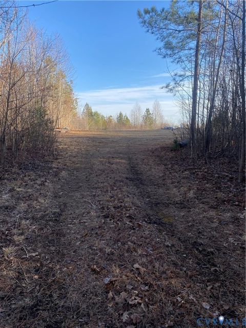 Tiny photo for LOT 1 Hadensville Farm Road, Mineral, VA 23117 (MLS # 2602121)