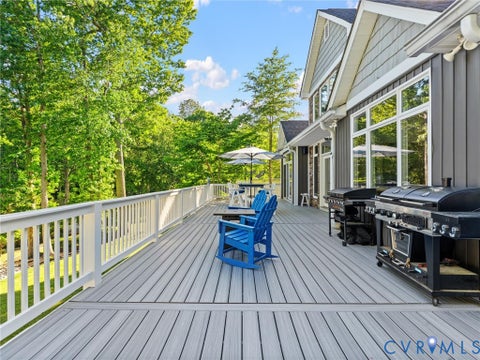 Tiny photo for 20149 Oak River Court, South Chesterfield, VA 23803 (MLS # 2626790)
