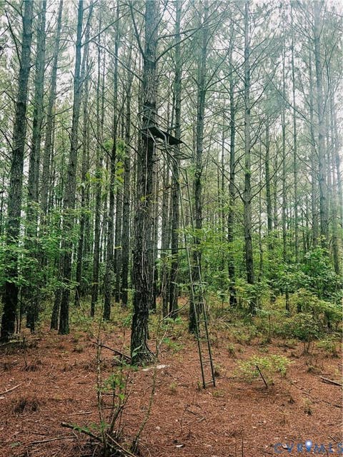 Tiny photo for 0 The Forge Road, St Stephens Church, VA 23148 (MLS # 2617906)