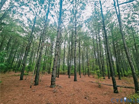 Tiny photo for 0 The Forge Road, St Stephens Church, VA 23148 (MLS # 2617906)