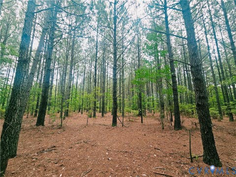 Tiny photo for 0 The Forge Road, St Stephens Church, VA 23148 (MLS # 2617906)
