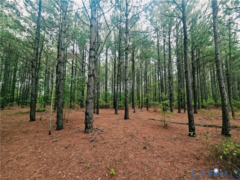 Tiny photo for 0 The Forge Road, St Stephens Church, VA 23148 (MLS # 2617906)