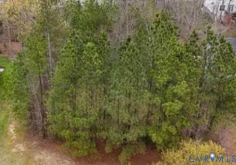 Photo of 9019 Sir Britton Drive, Chesterfield, VA 23832 (MLS # 2616158)