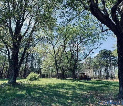 Tiny photo for 21600 Patrick Henry Highway, Jetersville, VA 23083 (MLS # 2626665)