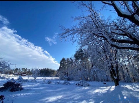 Tiny photo for 21600 Patrick Henry Highway, Jetersville, VA 23083 (MLS # 2626665)