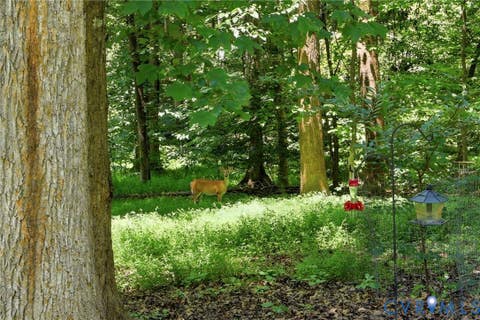 Tiny photo for 1915 Norwood Creek Drive, Powhatan, VA 23139 (MLS # 2620215)