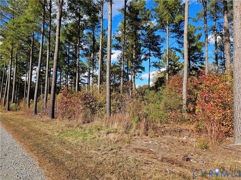 Tiny photo for 33051 Walnut Grove Farm Lane, Hanover, VA 23069 (MLS # 2530495)