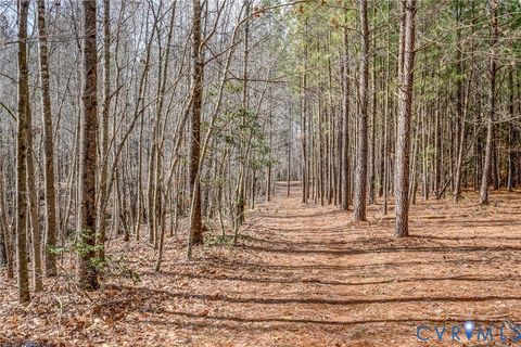 Tiny photo for 33051 Walnut Grove Farm Lane, Hanover, VA 23069 (MLS # 2530495)