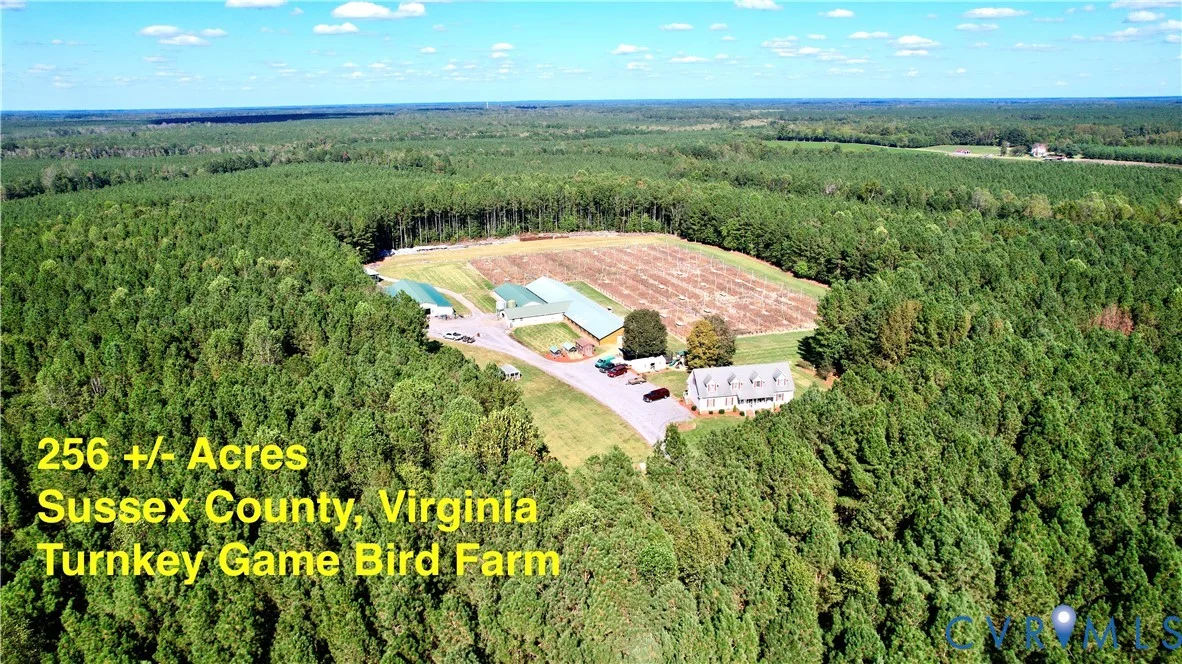 19003 Comans Well Road, Yale, VA, 23897