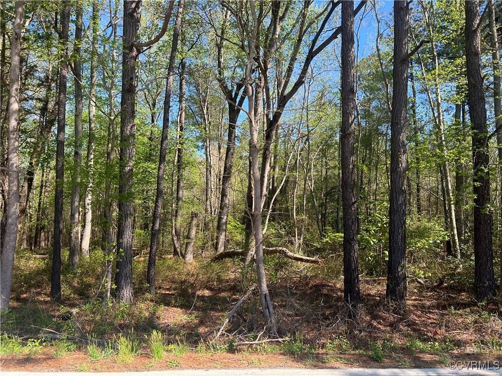 Photo for 9030 River Road, Petersburg, VA 23803 (MLS # 2509702)