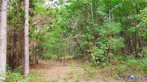 Photo of 0 McKenney Hwy Road, Mc Kenney, VA 23872 (MLS # 2627088)