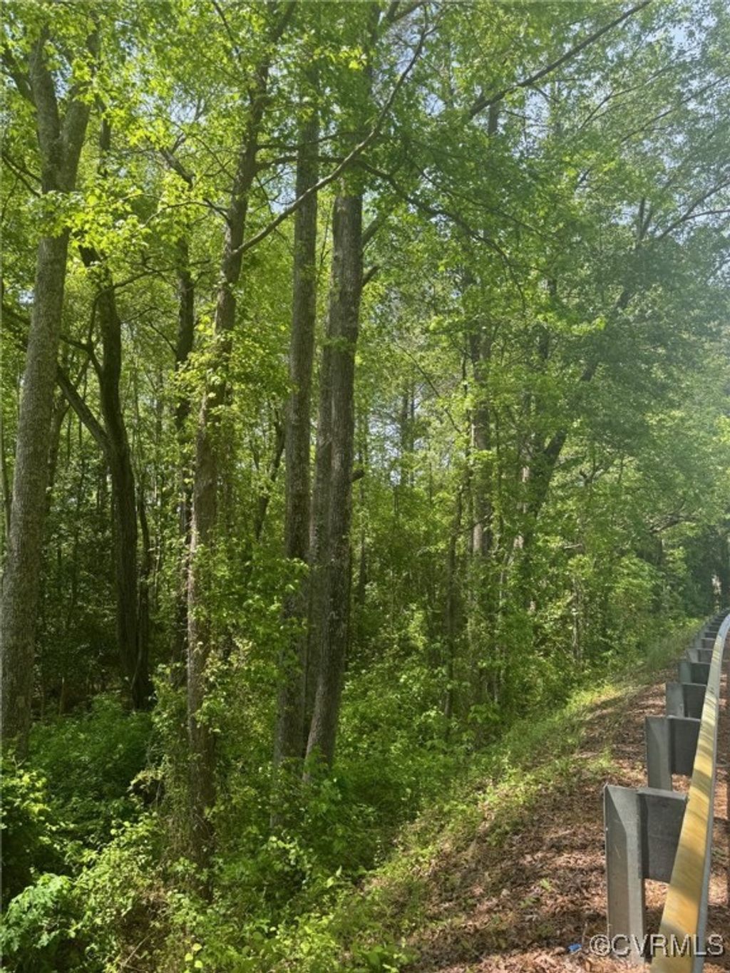 Photo for TBD Quaker Road, Dinwiddie, VA 23841 (MLS # 2511767)