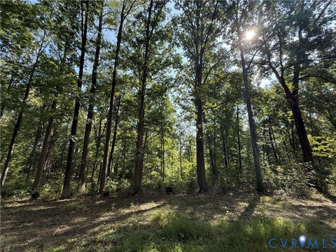 Tiny photo for 1198 Lickinghole Road, Goochland, VA 23063 (MLS # 2625723)
