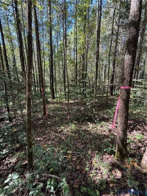 Tiny photo for 5 Macon Lane Lane, New Kent, VA 23124 (MLS # 2527323)