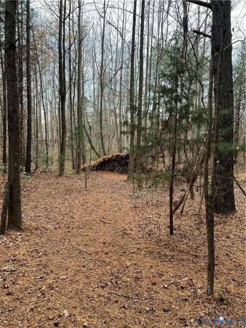 Tiny photo for 93 Jamaica Loop, Jamaica, VA 23079 (MLS # 2532296)