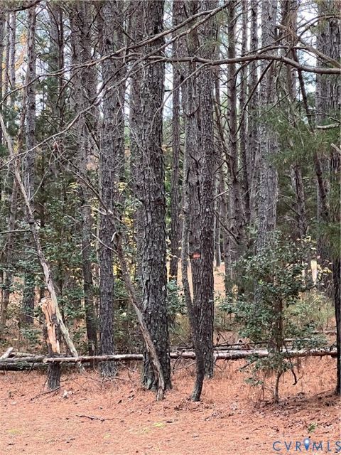 Tiny photo for 93 Jamaica Loop, Jamaica, VA 23079 (MLS # 2532296)