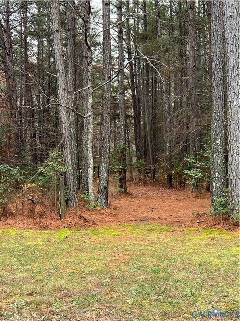 Tiny photo for 93 Jamaica Loop, Jamaica, VA 23079 (MLS # 2532296)