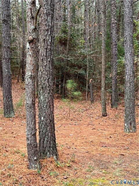 Tiny photo for 93 Jamaica Loop, Jamaica, VA 23079 (MLS # 2532296)