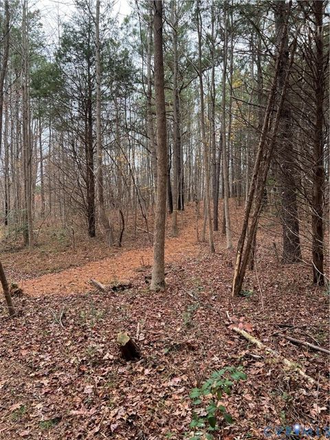 Tiny photo for 93 Jamaica Loop, Jamaica, VA 23079 (MLS # 2532296)