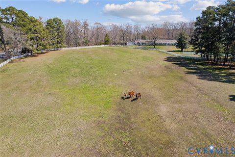 Tiny photo for 4411 Courthouse Road, Prince George, VA 23875 (MLS # 2529120)