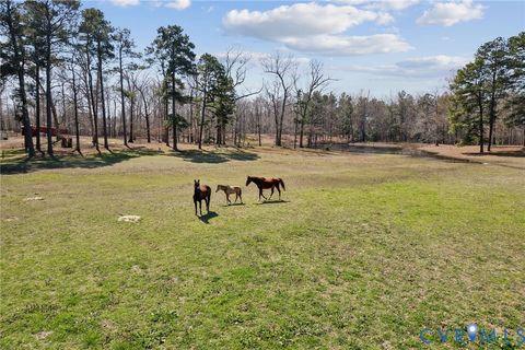 Tiny photo for 4411 Courthouse Road, Prince George, VA 23875 (MLS # 2529120)