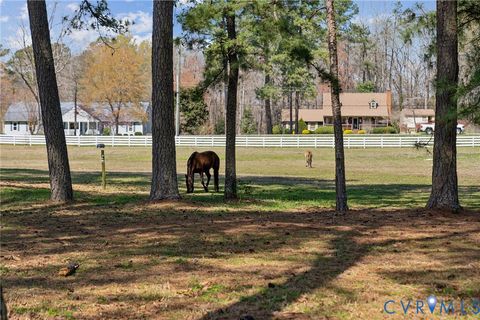 Tiny photo for 4411 Courthouse Road, Prince George, VA 23875 (MLS # 2529120)