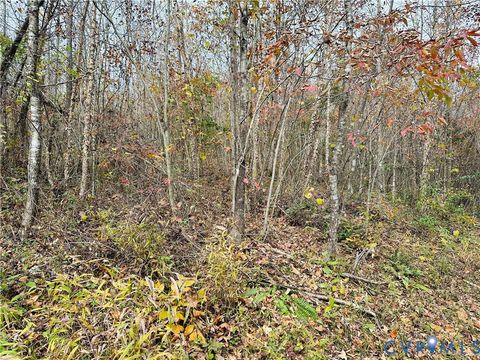 Tiny photo for 0-0 Mountain Top Road, New Canton, VA 23123 (MLS # 2530132)