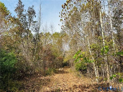 Tiny photo for 0-0 Mountain Top Road, New Canton, VA 23123 (MLS # 2530132)