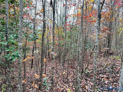 Tiny photo for 0-0 Mountain Top Road, New Canton, VA 23123 (MLS # 2530132)