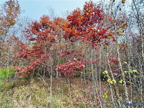 Tiny photo for 0-0 Mountain Top Road, New Canton, VA 23123 (MLS # 2530132)