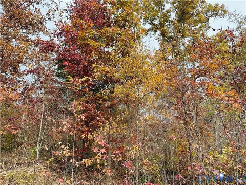 Tiny photo for 0-0 Mountain Top Road, New Canton, VA 23123 (MLS # 2530132)