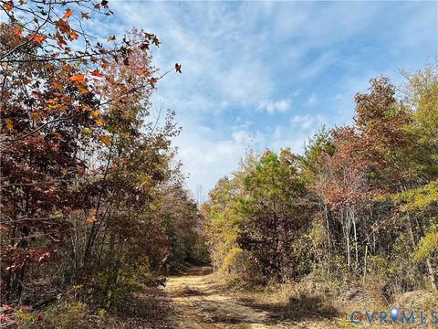 Tiny photo for 0-0 Mountain Top Road, New Canton, VA 23123 (MLS # 2530132)