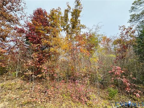 Tiny photo for 0-0 Mountain Top Road, New Canton, VA 23123 (MLS # 2530132)