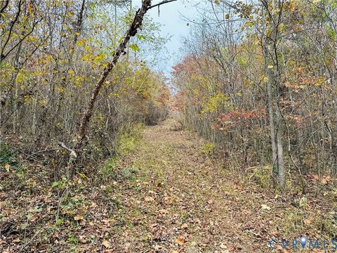 Tiny photo for 0-0 Mountain Top Road, New Canton, VA 23123 (MLS # 2530132)