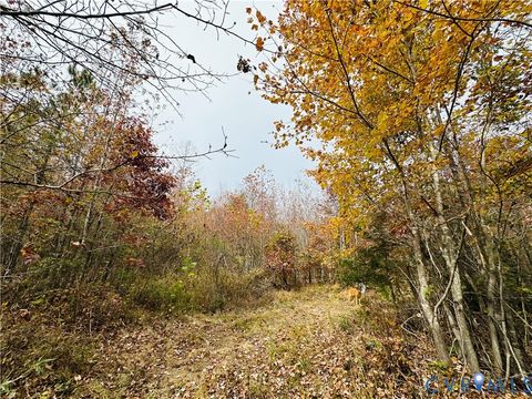 Tiny photo for 0-0 Mountain Top Road, New Canton, VA 23123 (MLS # 2530132)