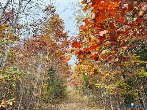 Tiny photo for 0-0 Mountain Top Road, New Canton, VA 23123 (MLS # 2530132)