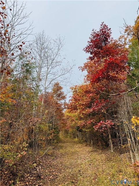 Tiny photo for 0-0 Mountain Top Road, New Canton, VA 23123 (MLS # 2530132)