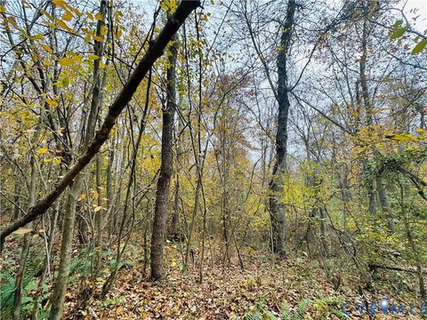 Tiny photo for 0-0 Mountain Top Road, New Canton, VA 23123 (MLS # 2530132)