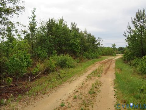 Tiny photo for 22505 Flatfoot Road, Stony Creek, VA 23882 (MLS # 2612569)