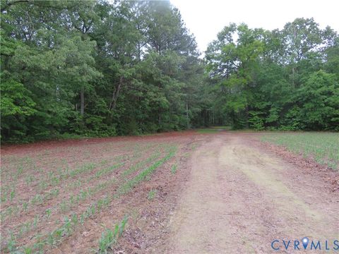 Tiny photo for 22505 Flatfoot Road, Stony Creek, VA 23882 (MLS # 2612569)