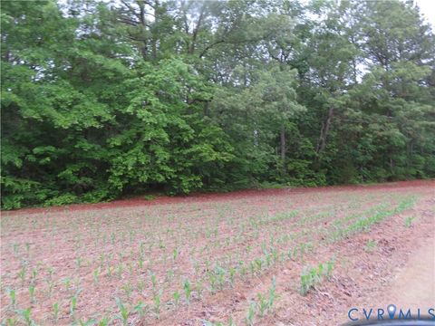 Tiny photo for 22505 Flatfoot Road, Stony Creek, VA 23882 (MLS # 2612569)