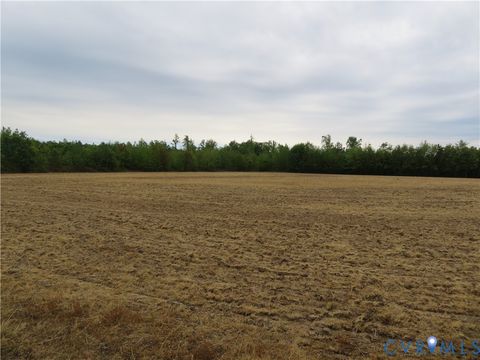 Tiny photo for 22505 Flatfoot Road, Stony Creek, VA 23882 (MLS # 2612569)