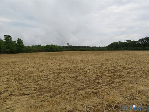Tiny photo for 22505 Flatfoot Road, Stony Creek, VA 23882 (MLS # 2612569)