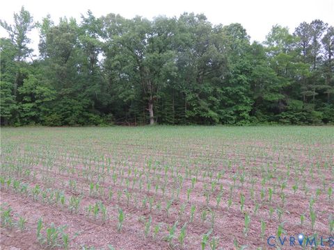 Tiny photo for 22505 Flatfoot Road, Stony Creek, VA 23882 (MLS # 2612569)