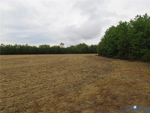 Tiny photo for 22505 Flatfoot Road, Stony Creek, VA 23882 (MLS # 2612569)