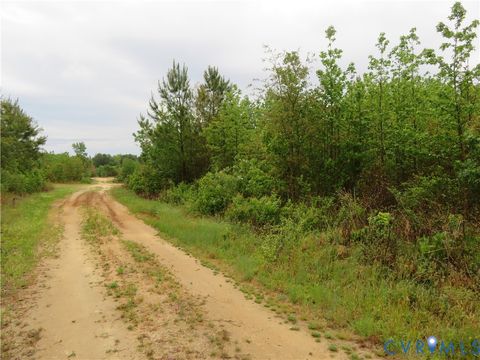 Photo of 22505 Flatfoot Road, Stony Creek, VA 23882 (MLS # 2612569)